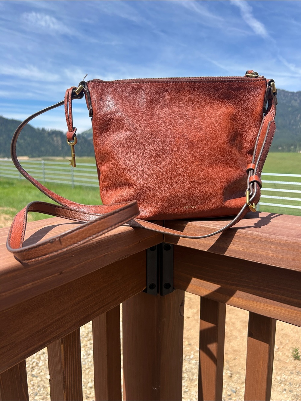 Fossil Leather Crossbody Bag in Chestnut Brown